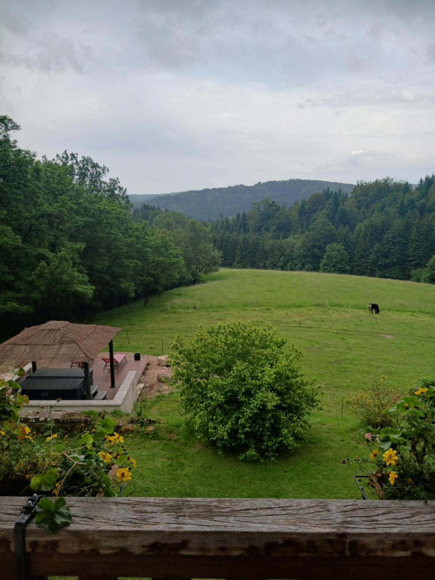Bed and Breakfast Les Accacias Moyenmoutier Exterior foto