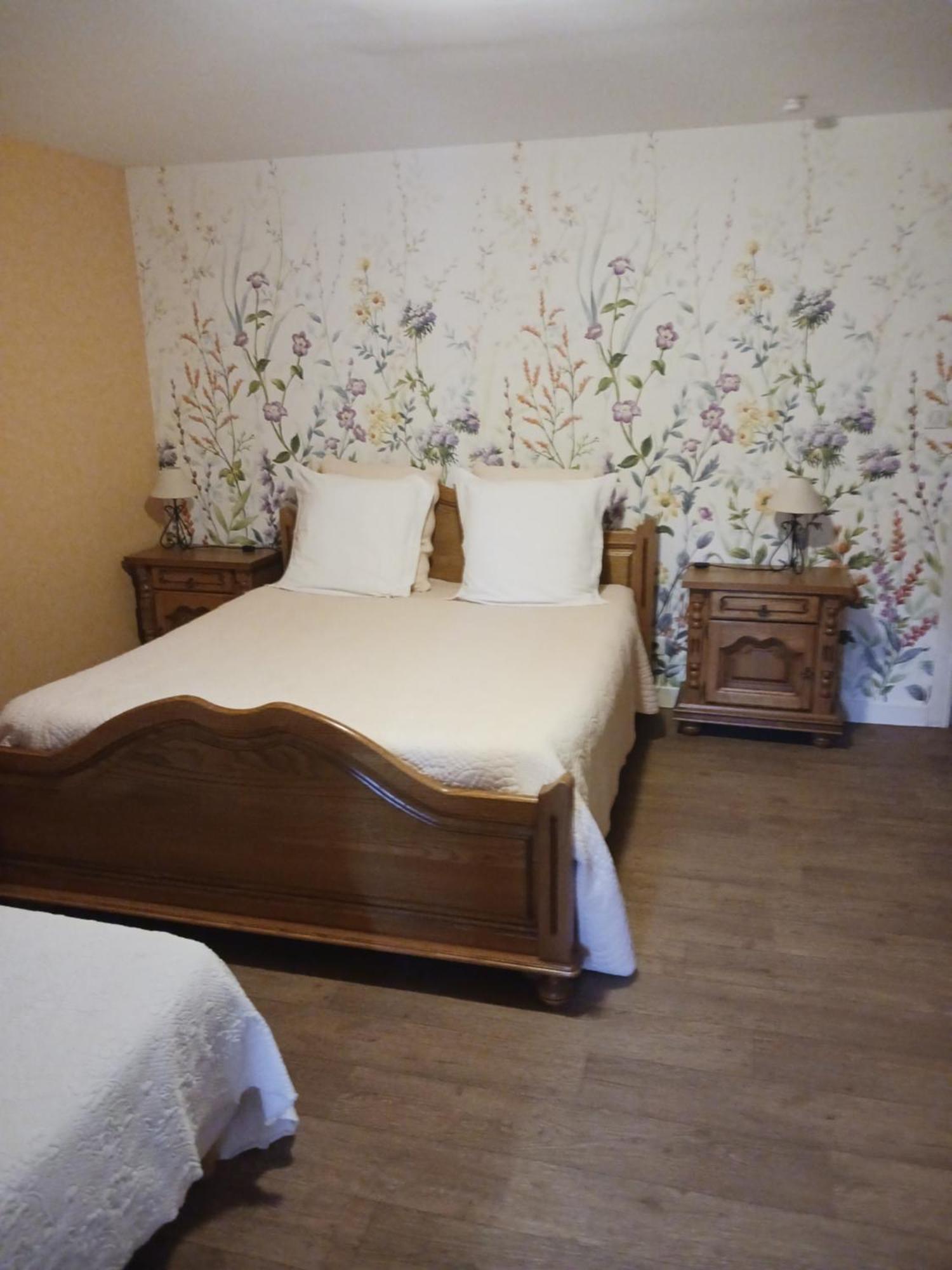 Bed and Breakfast Les Accacias Moyenmoutier Exterior foto