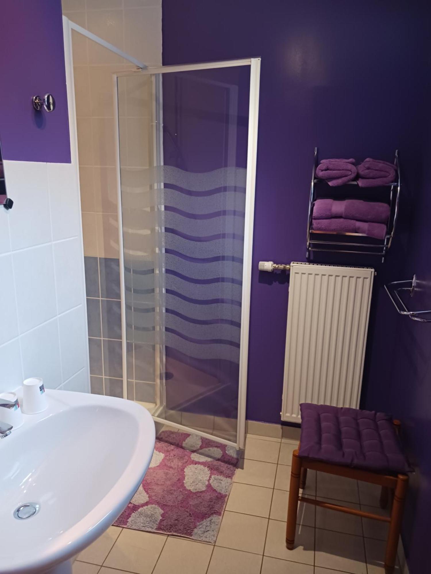 Bed and Breakfast Les Accacias Moyenmoutier Exterior foto